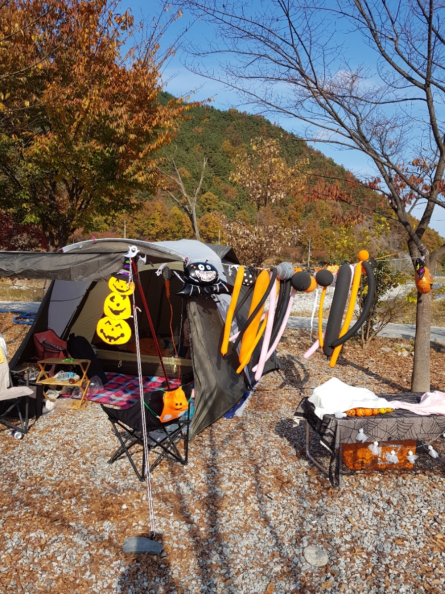 성주자연오토캠핑장 이미지