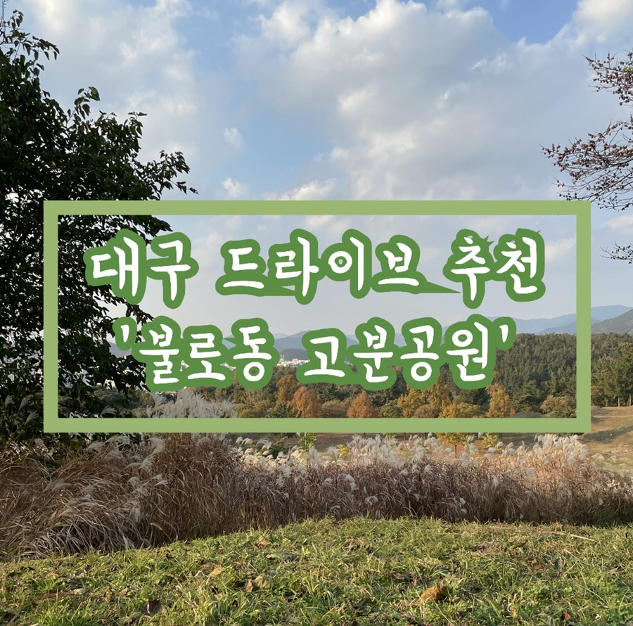 코스앨리 이미지