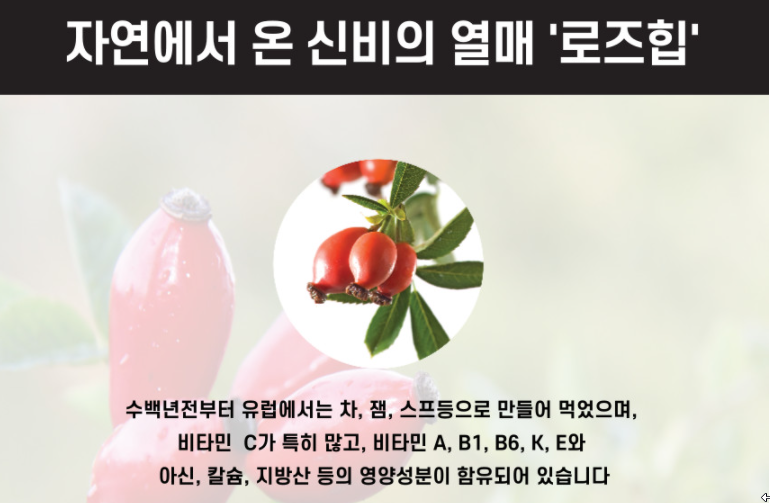 엘리펀 주식회사 이미지