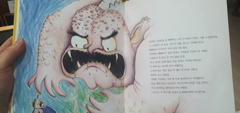 로시따 이미지