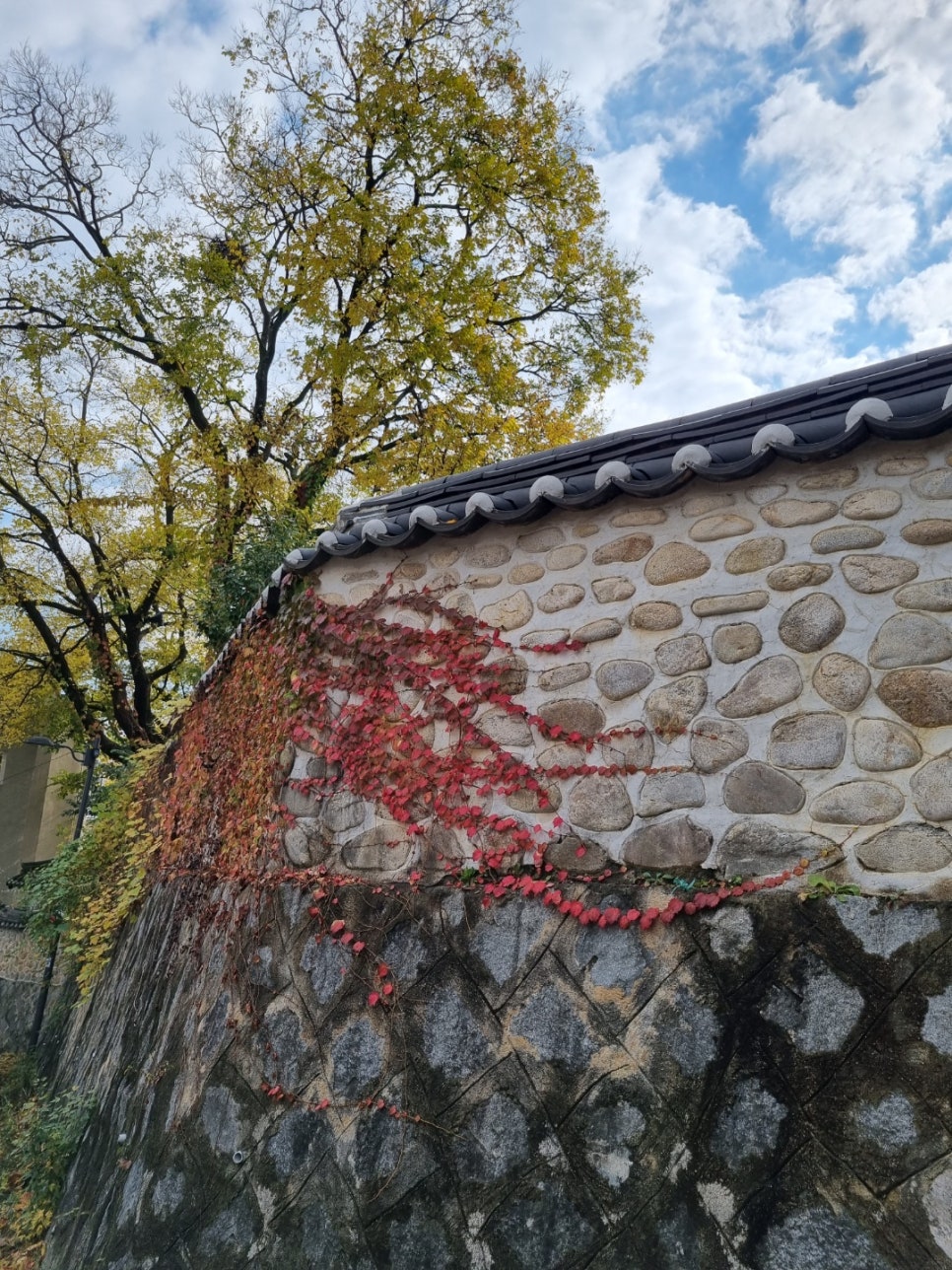 지구마을산책 이미지