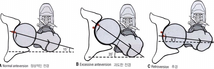 위드핏PT 이미지