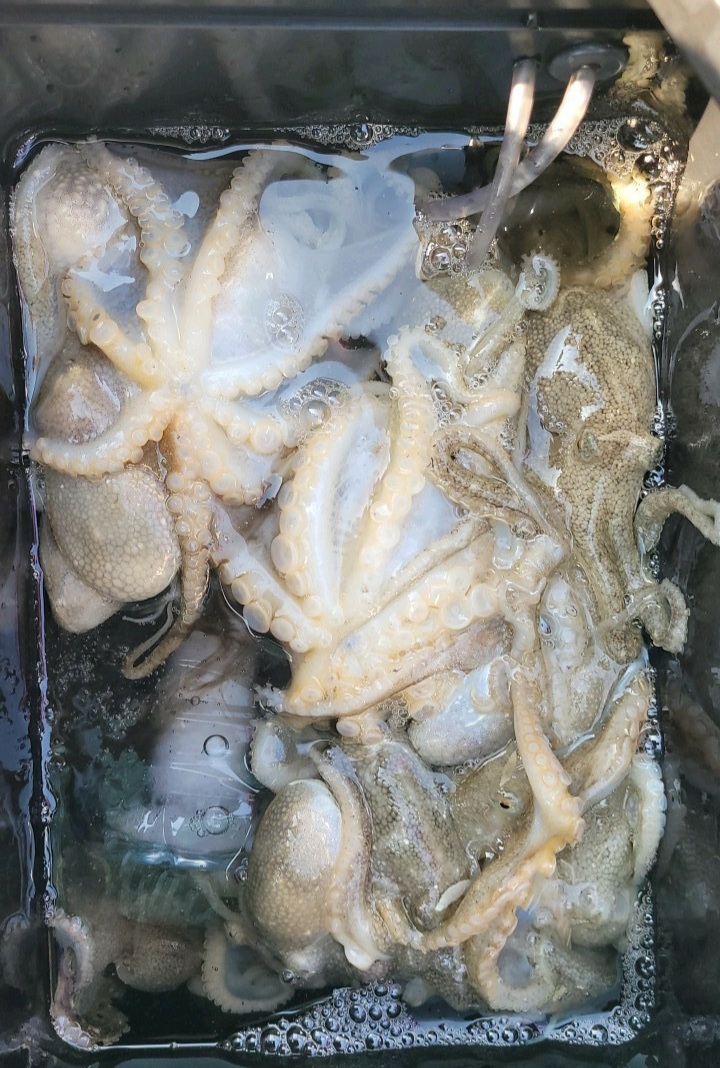정남진레저 이미지