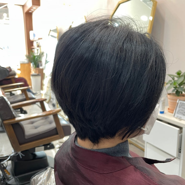 하쏘헤어 이미지