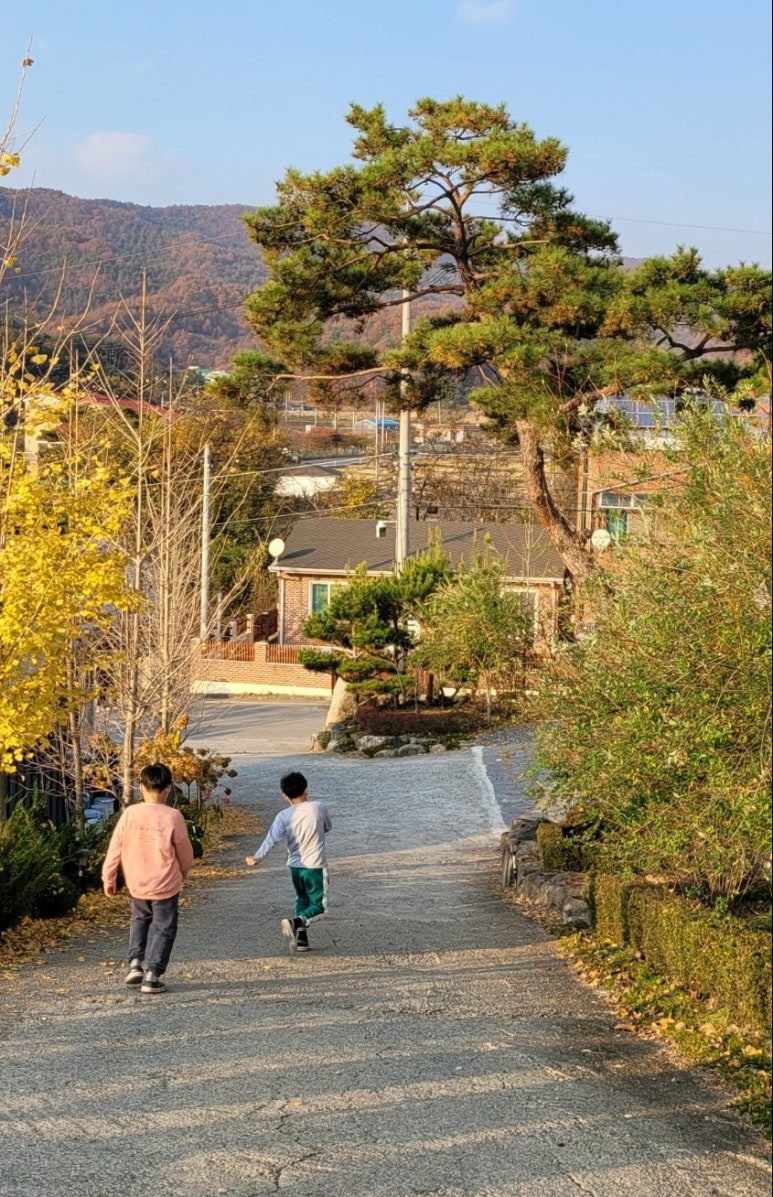 허니원카페 이미지