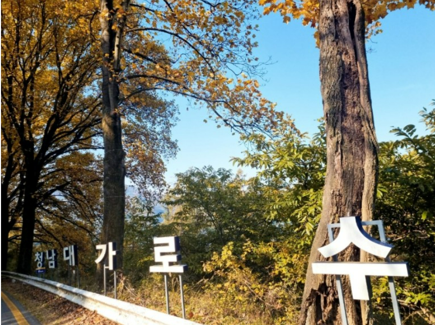 토탈인테리어 이미지