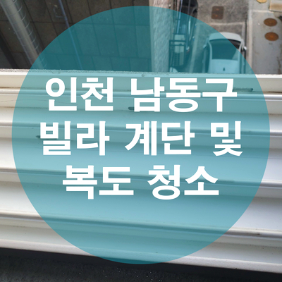 초아클린 이미지