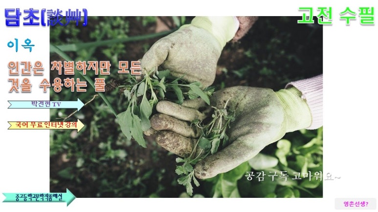 담초 이미지