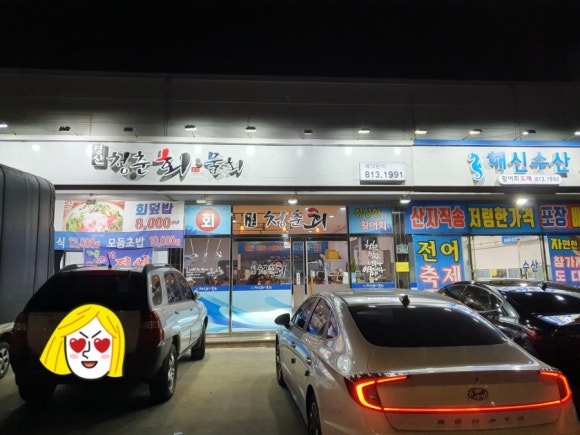 청춘회물회 이미지