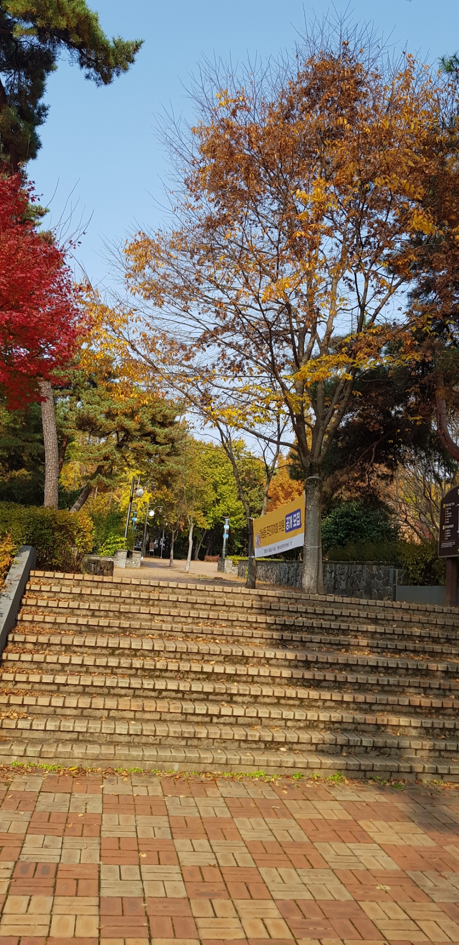 경암근린공원 유아숲체험원 이미지