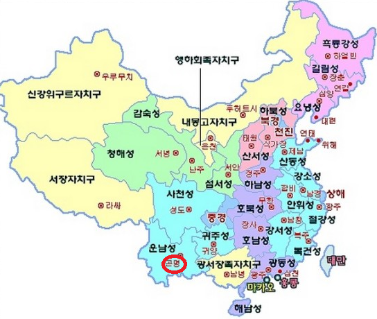차이나게 판다 이미지