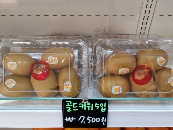 유성청과 이미지
