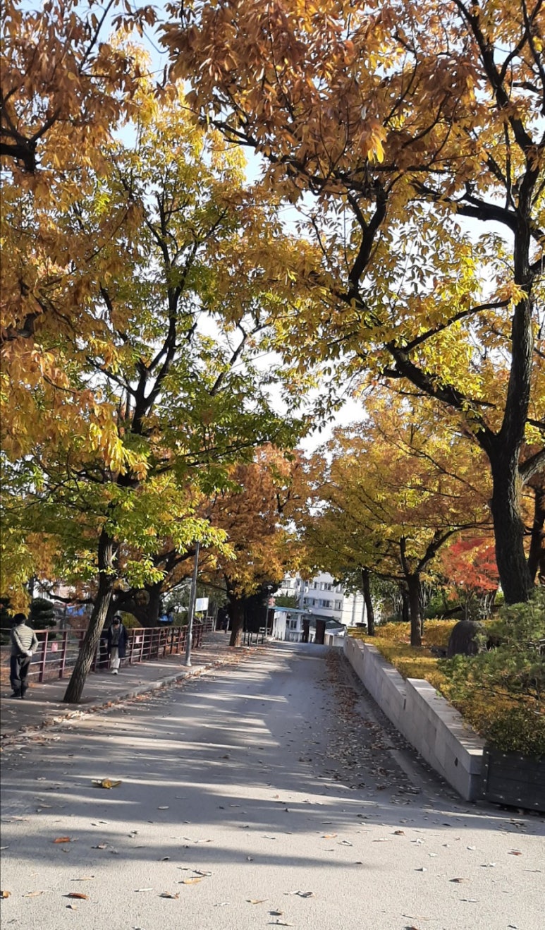 (재)대구구천주교회유지재단 이미지