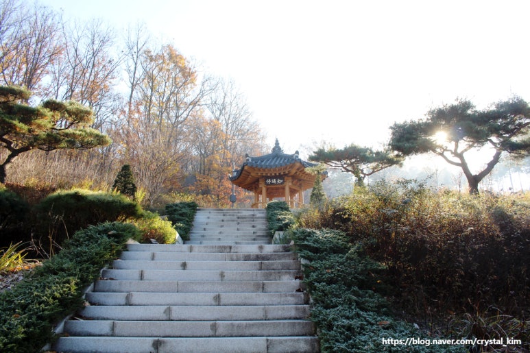 지우통상 이미지