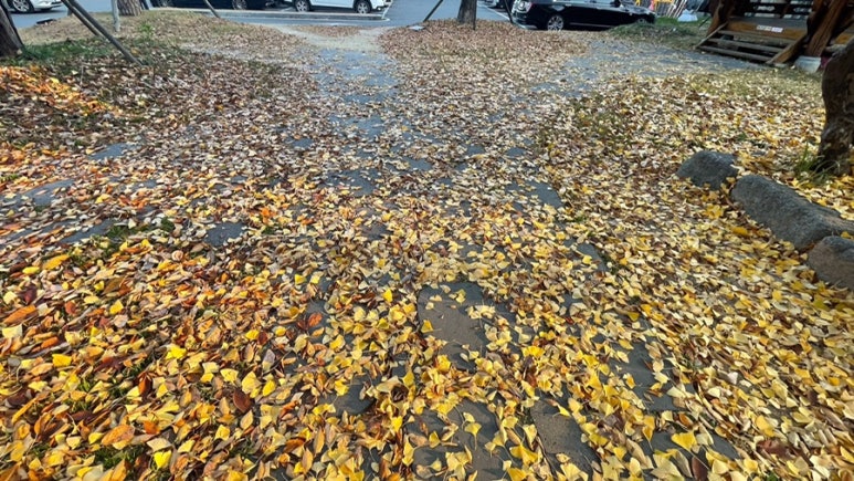 기봉이막창.뒷고기 이미지