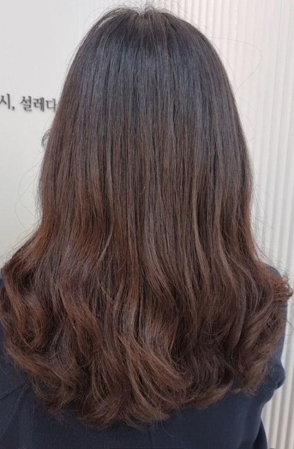 다시설레다 이미지