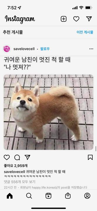 마스타카 이미지