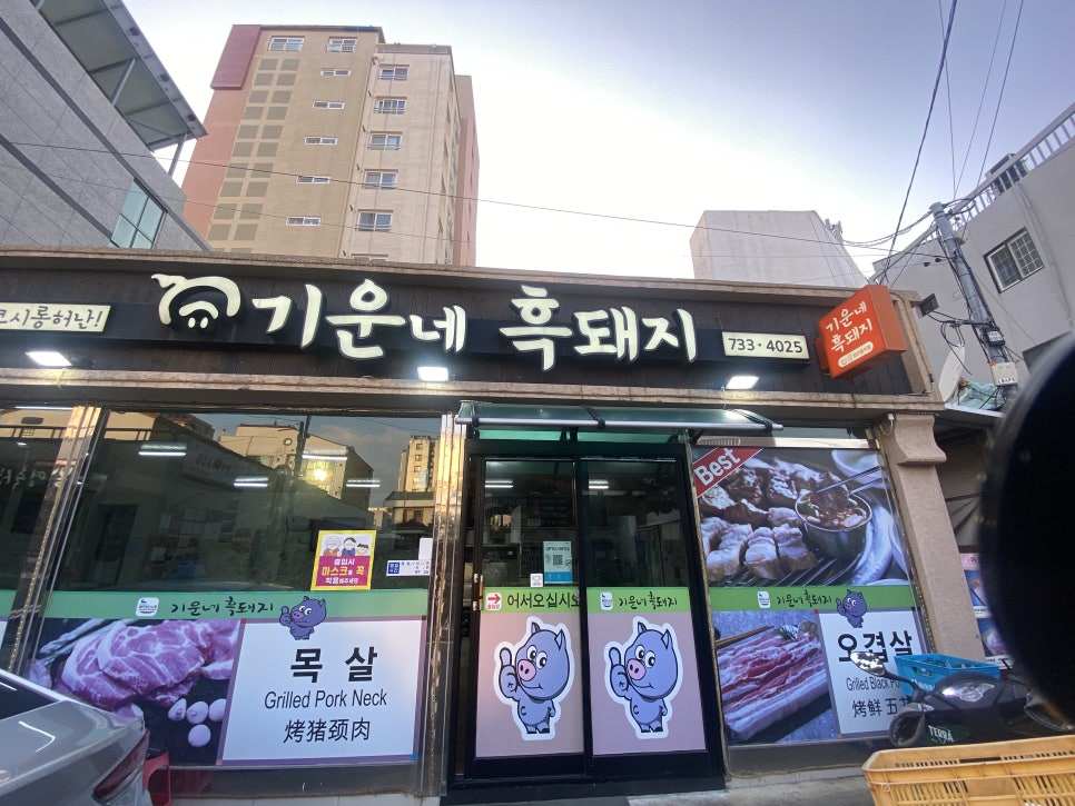 기운네흑돼지 이미지