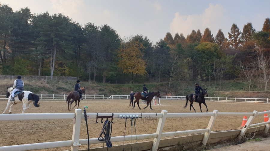 천안시승마협회 이미지