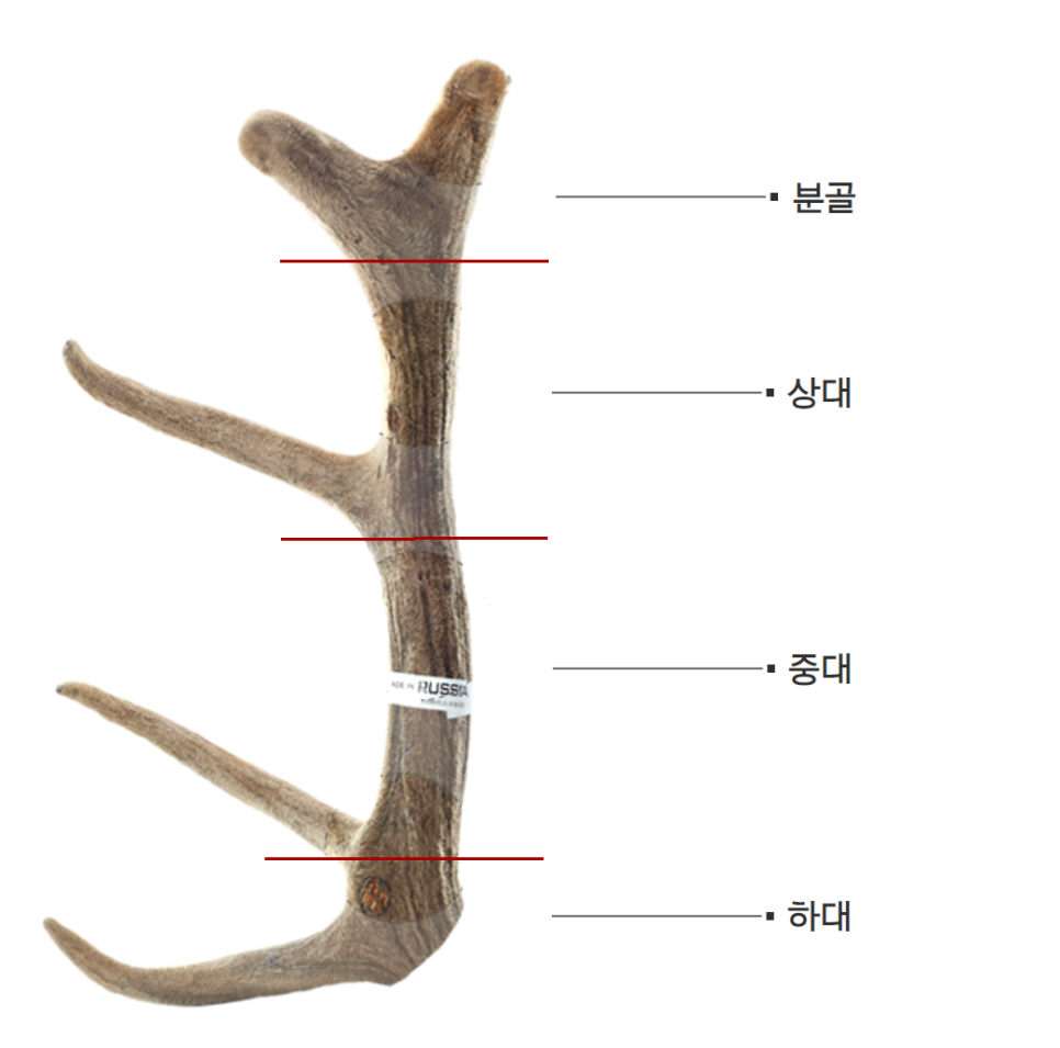 주식회사 편강한방연구소 이미지