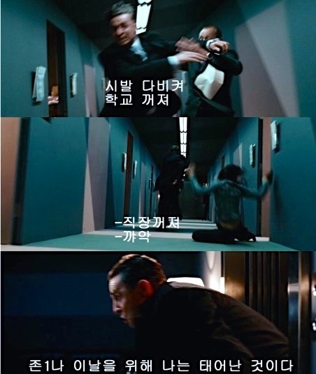 브이지에스 이미지