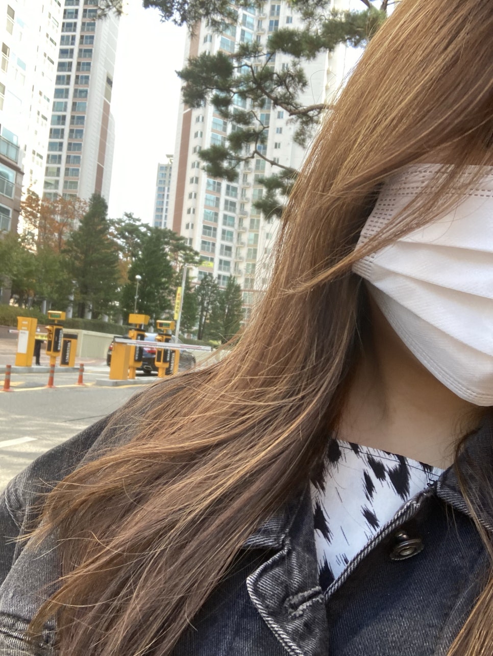시장미용실 이미지