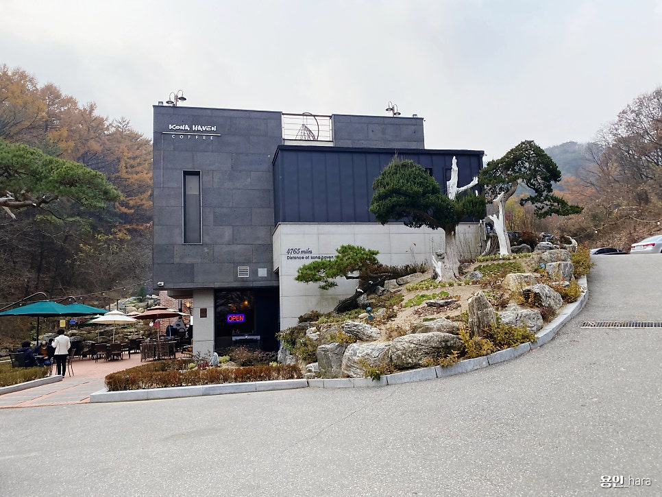 알로하 코나 헤이븐 이미지