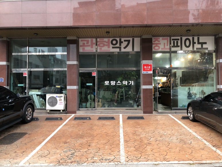 로망스악기 이미지