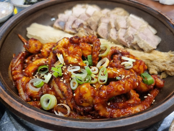 낙지보감 이미지