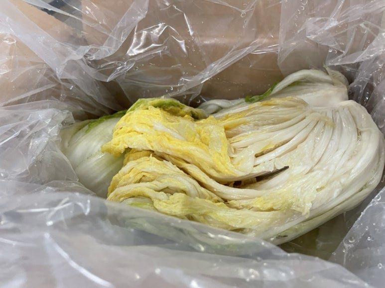 해남촌 이미지