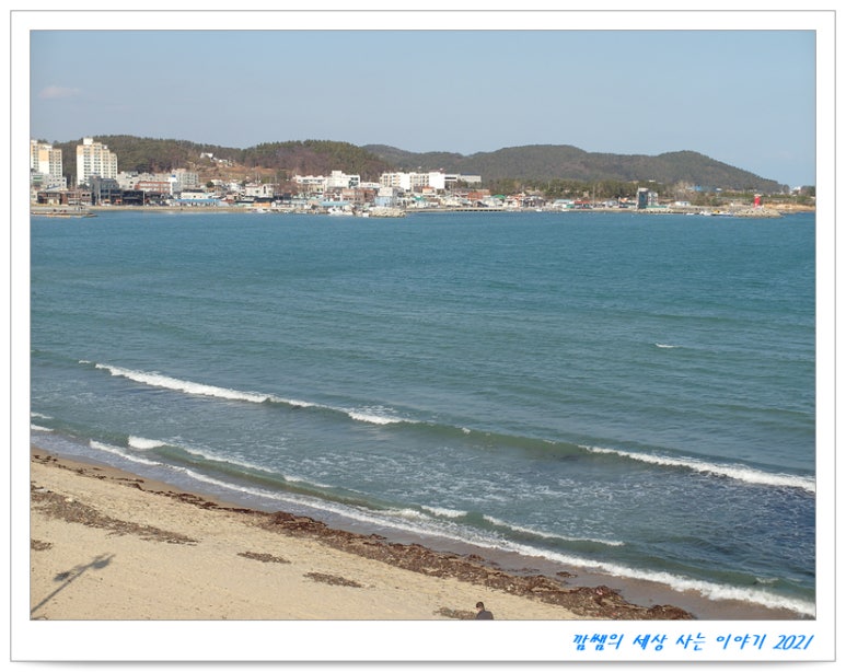 일광자전거 이미지