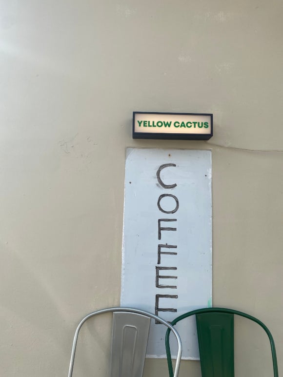 옐로우캑터스yellowcactus 이미지