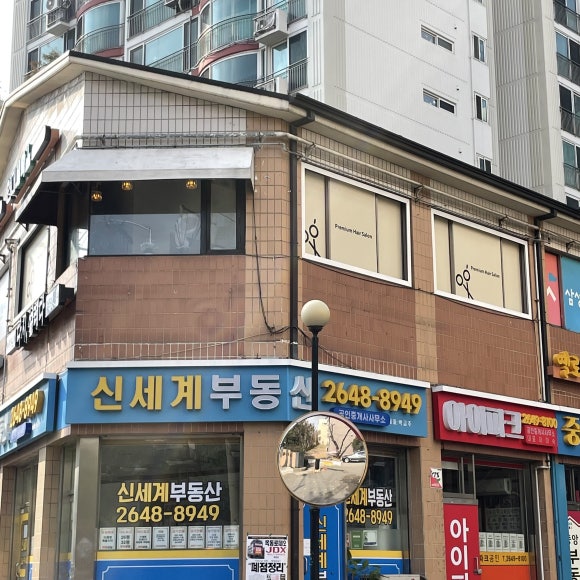 다시설레다 이미지
