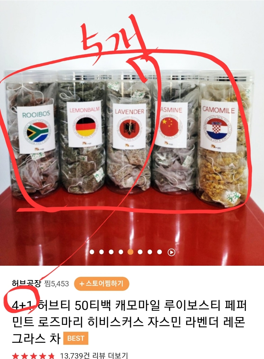 내다람쥐 이미지