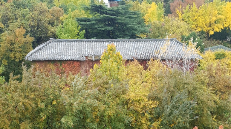 그냥한잔 이미지