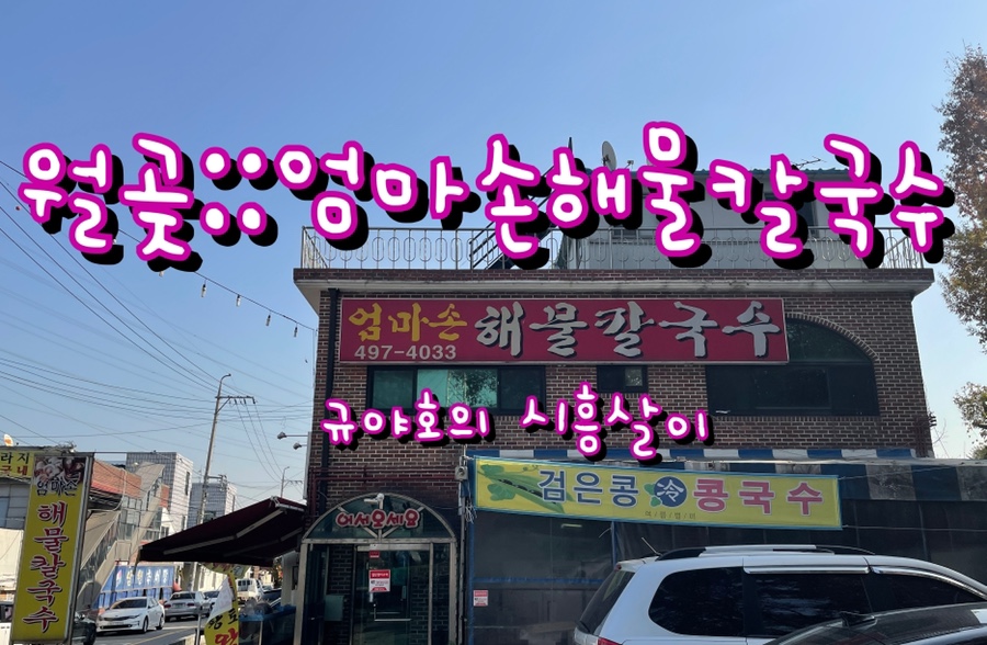 엄마손해물칼국수 이미지