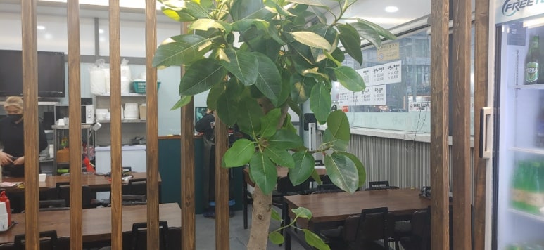 청춘회마차 이미지
