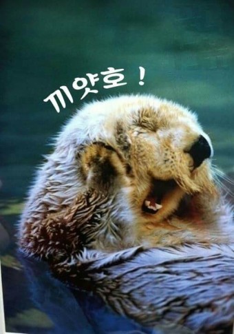 고고점핑 이미지