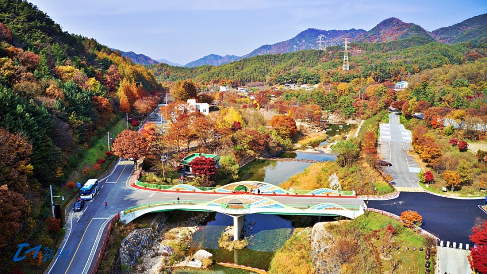 장령산자연휴양림 이미지