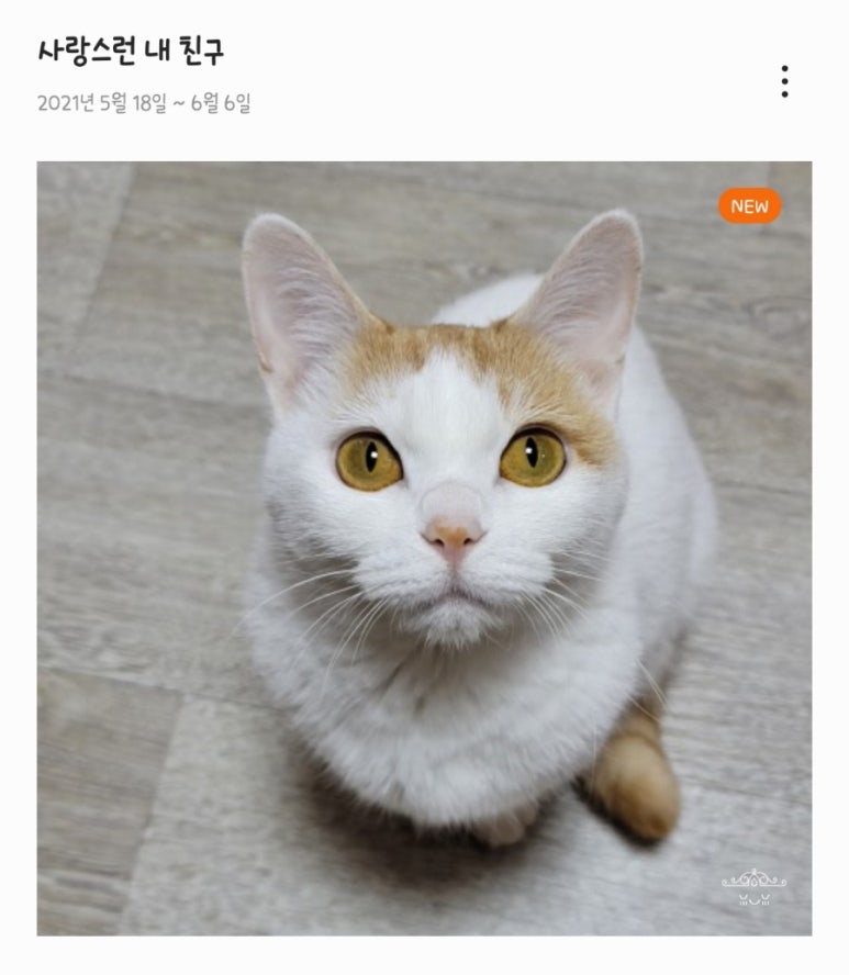 두찜이천 이미지