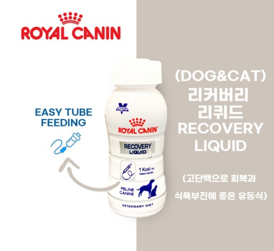 미스고헤어 이미지