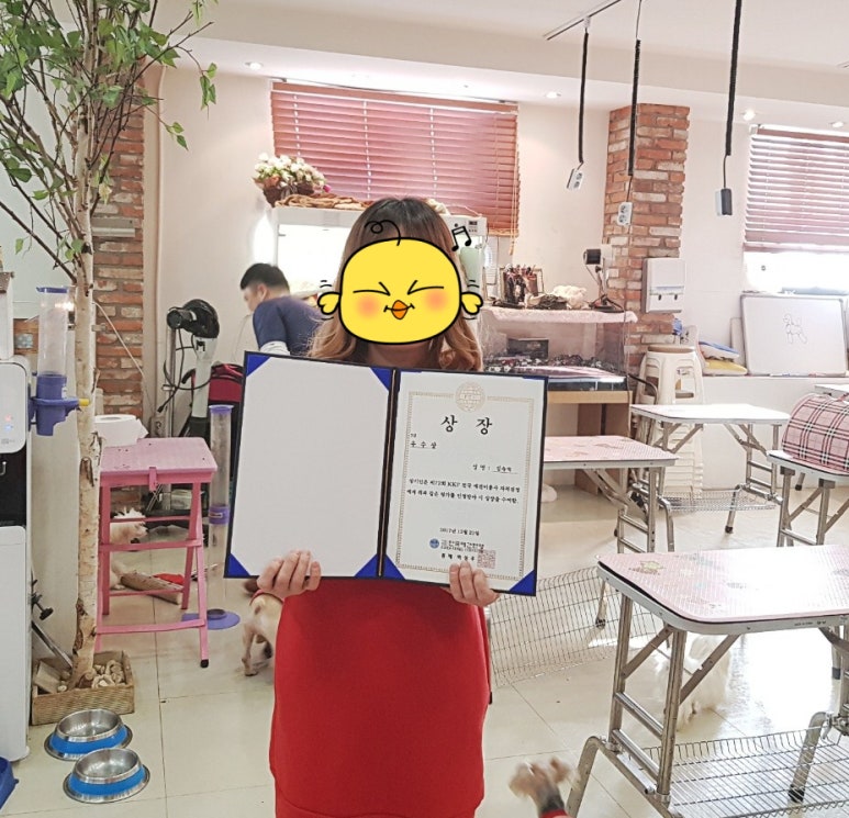 김성균애견미용학원 이미지