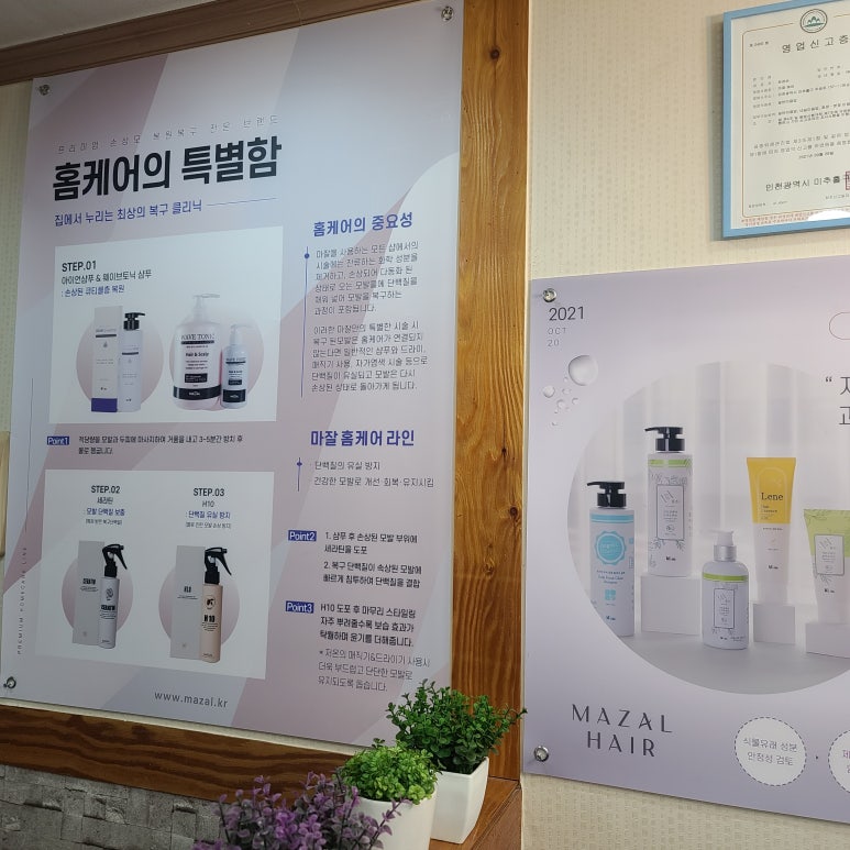 마잘 이미지