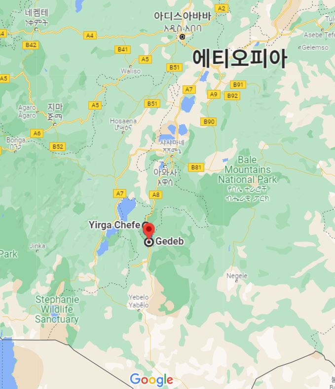 로스팅 프로젝트 이미지