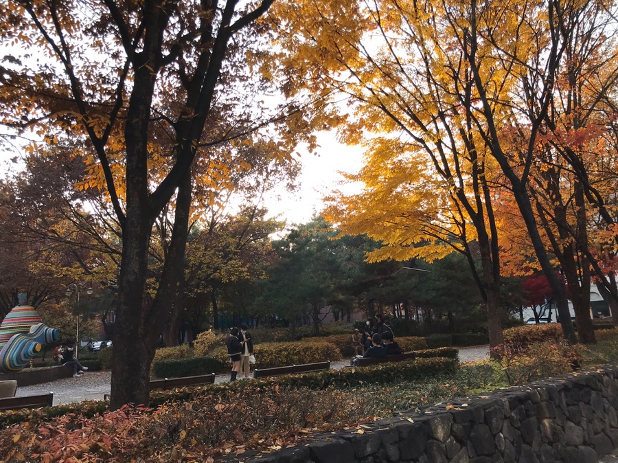 명가교동짬뽕 이미지