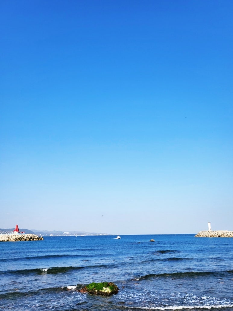 투썸플레이스울산정자점 이미지