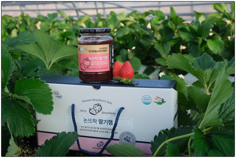 논뜨락 산뜨락 이미지