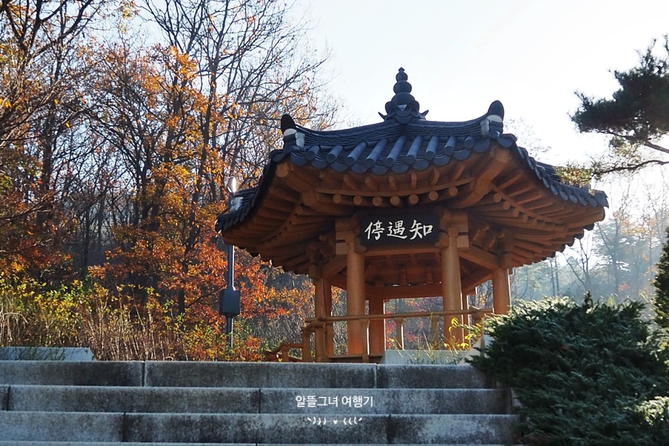 지우통상 이미지