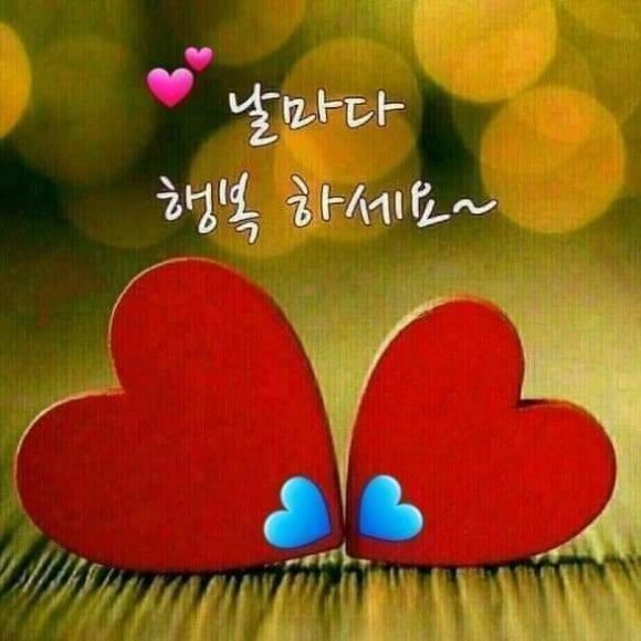 불놀이야7090 이미지