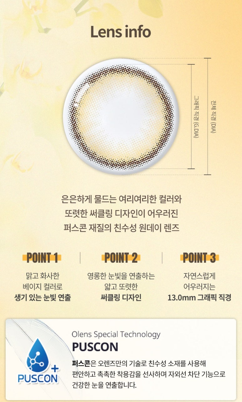 베이지데이 이미지